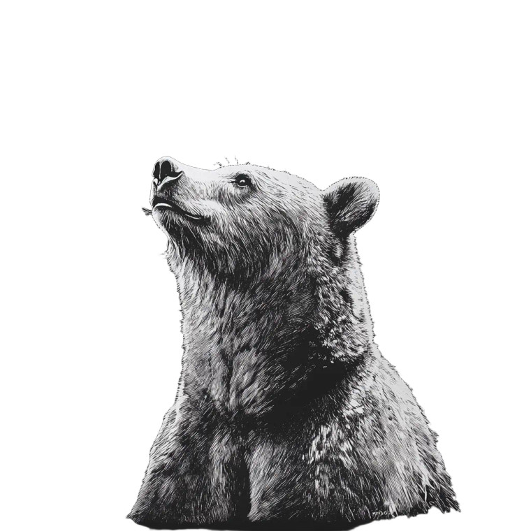 Calm Bear Print Vinyl Car Decal Sticker – Waterproof & UV-Resistant 8"