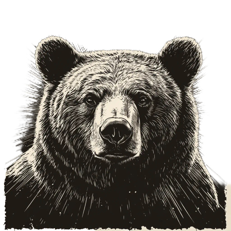 Vintage Bear Linograph Vinyl Car Decal Sticker – Waterproof & UV-Resistant 8"