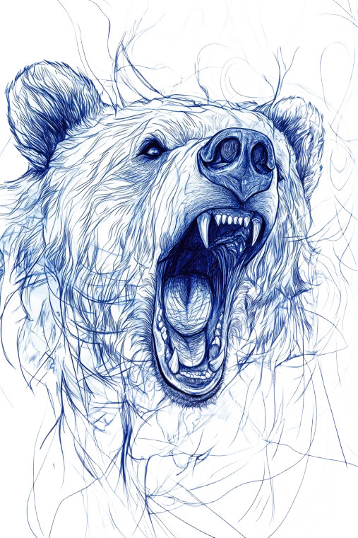 Growling Bear Illustration Vinyl Car Decal Sticker – Waterproof & UV-Resistant 8"