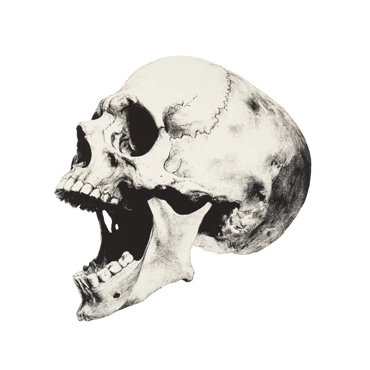 Sideview Skull Vinyl Car Decal Sticker – Waterproof & UV-Resistant 8"