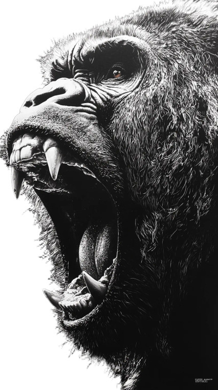 Roaring Gorilla Portrait V2 Vinyl Car Decal Sticker – Waterproof & UV-Resistant 8"