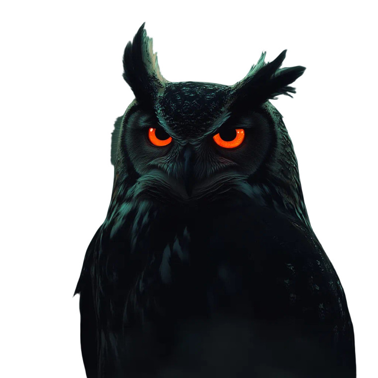 Majestic Dark Owl Vinyl Car Decal Sticker – Waterproof & UV-Resistant 8"