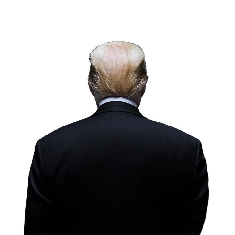 Presidential Bully Vinyl Car Decal Sticker – Waterproof & UV-Resistant 8"