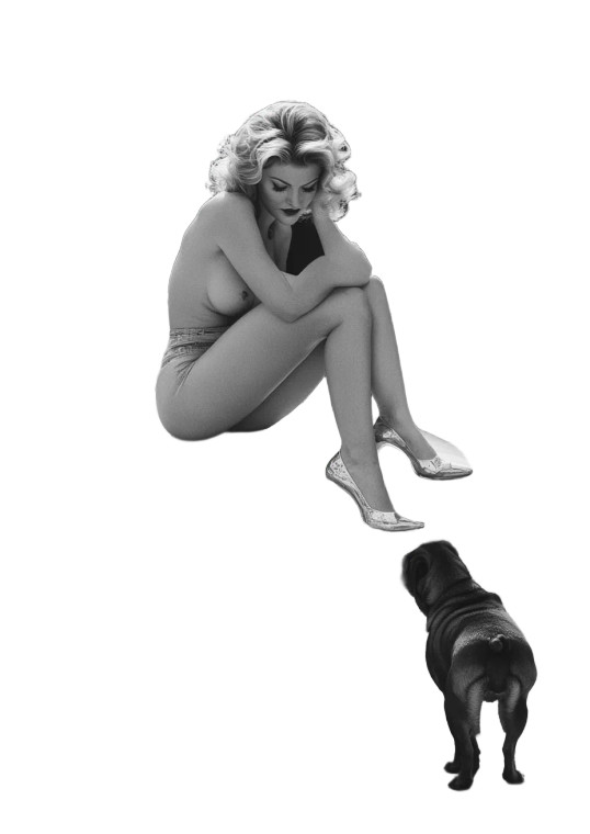 Brigitte Bardot Retro V3 Vinyl Car Decal Sticker – Waterproof & UV-Resistant 8"