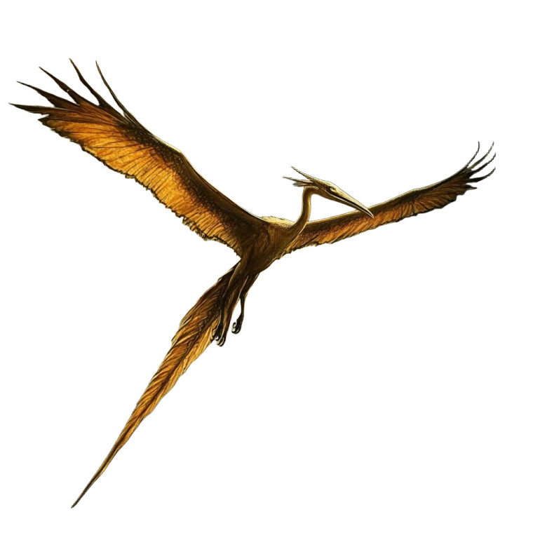 Soaring Quetzalcoatlus Vinyl Car Decal Sticker – Waterproof & UV-Resistant 8"