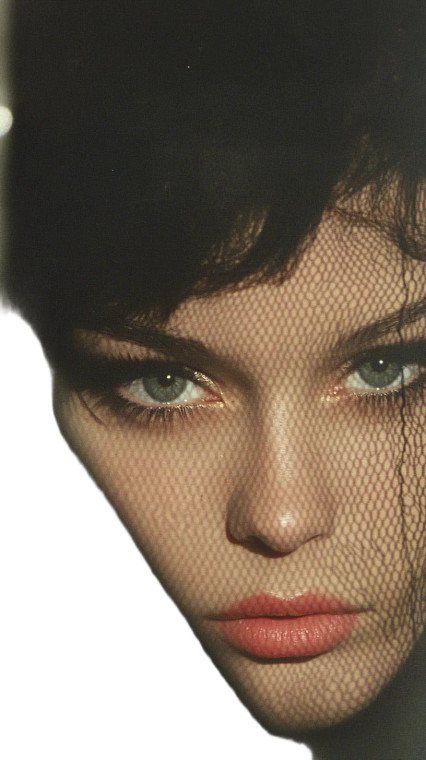 Halftone Portrait Vinyl Car Decal Sticker – Waterproof & UV-Resistant 8"