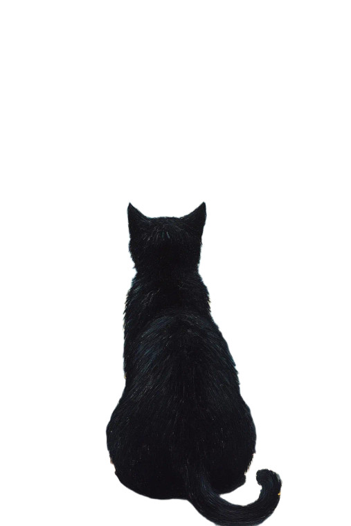 Cat Watching Starry Night Vinyl Car Decal Sticker – Waterproof & UV-Resistant 8"