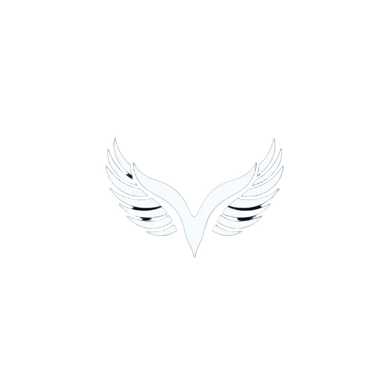 Minimalist Angel Wings Vinyl Car Decal Sticker – Waterproof & UV-Resistant 8"