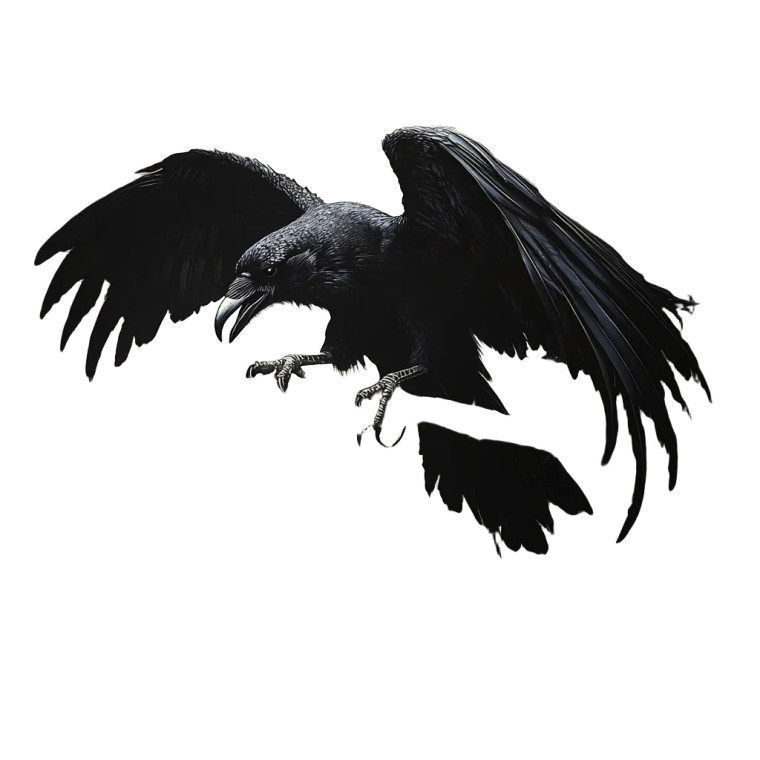 Landing Raven Vinyl Car Decal Sticker – Waterproof & UV-Resistant 8"