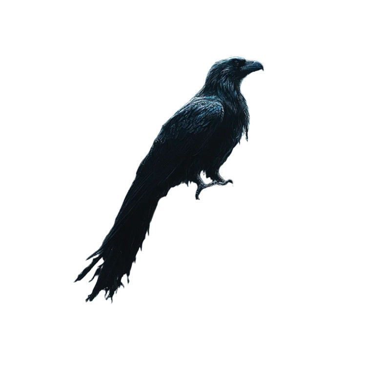 Raven Forsaken Vinyl Car Decal Sticker – Waterproof & UV-Resistant 