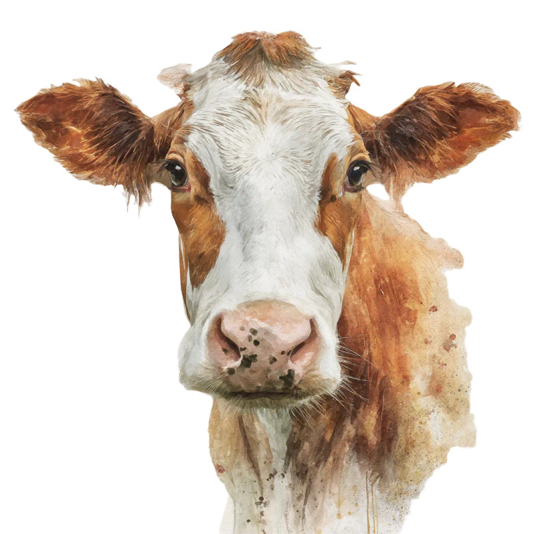 Watercolor Cow Vinyl Car Decal Sticker – Waterproof & UV-Resistant 8"