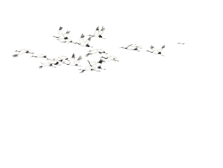 Graceful Cranes Flight Vinyl Car Decal Sticker – Waterproof & UV-Resistant 8"