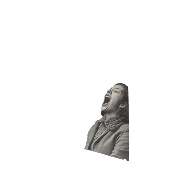 Screaming Booth Vinyl Car Decal Sticker – Waterproof & UV-Resistant 8"