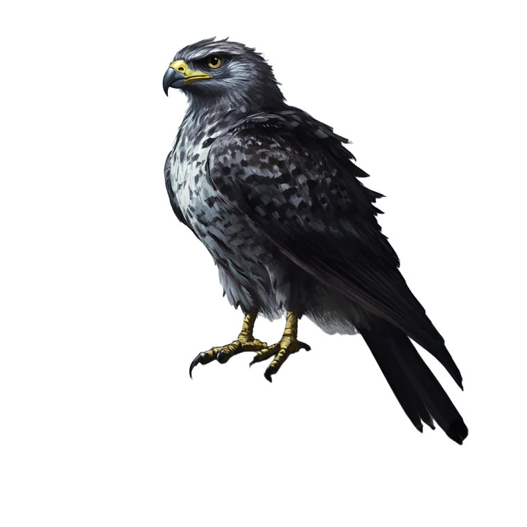 Warlock Familiar Hawk Vinyl Car Decal Sticker – Waterproof & UV-Resistant 8"