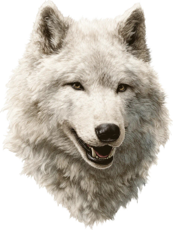 Dire Wolf Sticker Vinyl Car Decal Sticker – Waterproof & UV-Resistant 8"