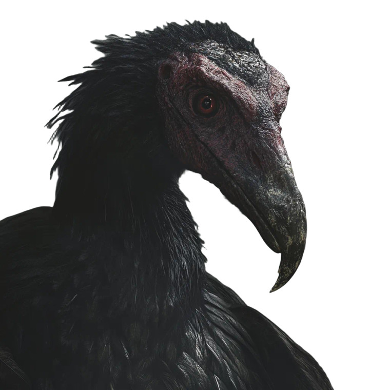 Venomous Creature Vinyl Car Decal Sticker – Waterproof & UV-Resistant 8"