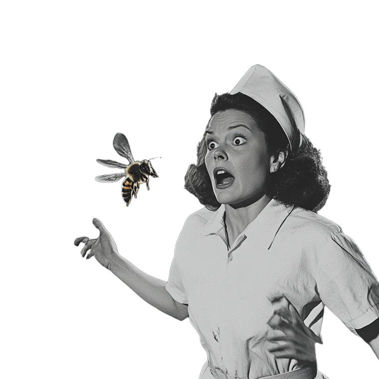 Chased By A Bee Vinyl Car Decal Sticker – Waterproof & UV-Resistant 8"