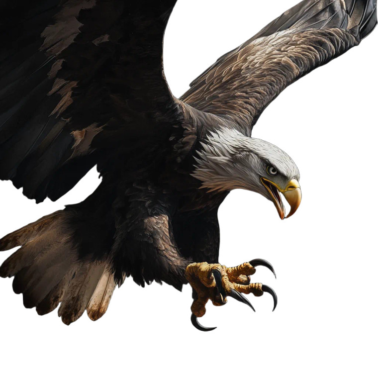 Grasping Eagle Vinyl Car Decal Sticker – Waterproof & UV-Resistant 8"