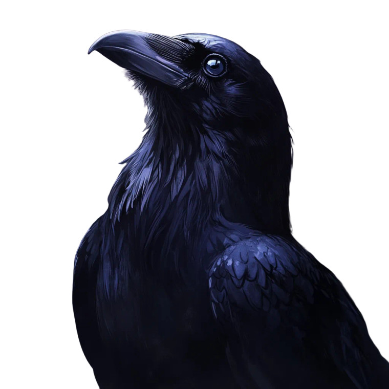 Stylized Raven Vinyl Car Decal Sticker – Waterproof & UV-Resistant 8"