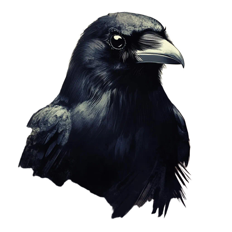 Haunting Crow Vinyl Car Decal Sticker – Waterproof & UV-Resistant 8"