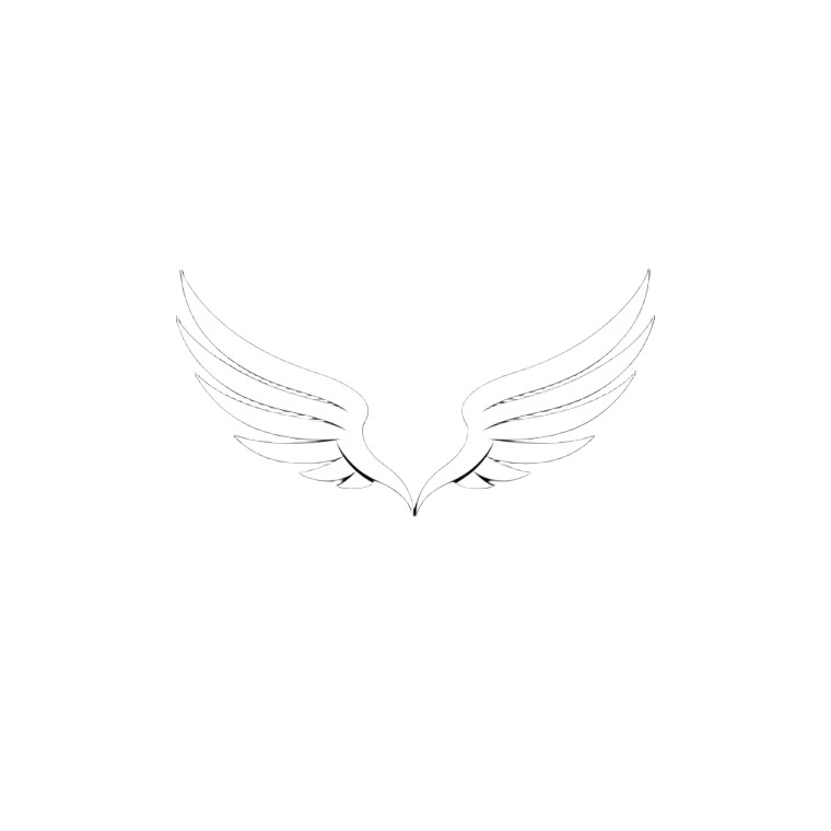 Minimalist Angel Wings V2 Vinyl Car Decal Sticker – Waterproof & UV-Resistant 8"