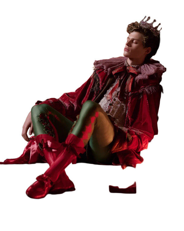 Whimsical Theatrical Prince Vinyl Car Decal Sticker – Waterproof & UV-Resistant 8"