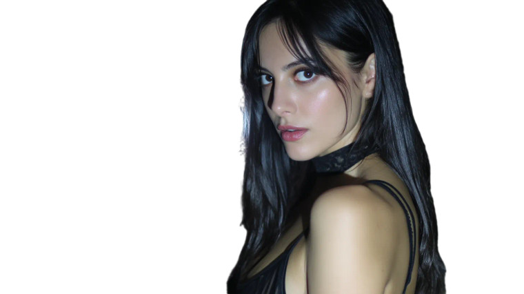 Italian Countess Snooping Vinyl Car Decal Sticker – Waterproof & UV-Resistant 8"