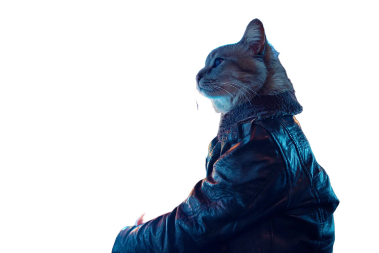 Cyber Cat Biker Vinyl Car Decal Sticker – Waterproof & UV-Resistant 8"