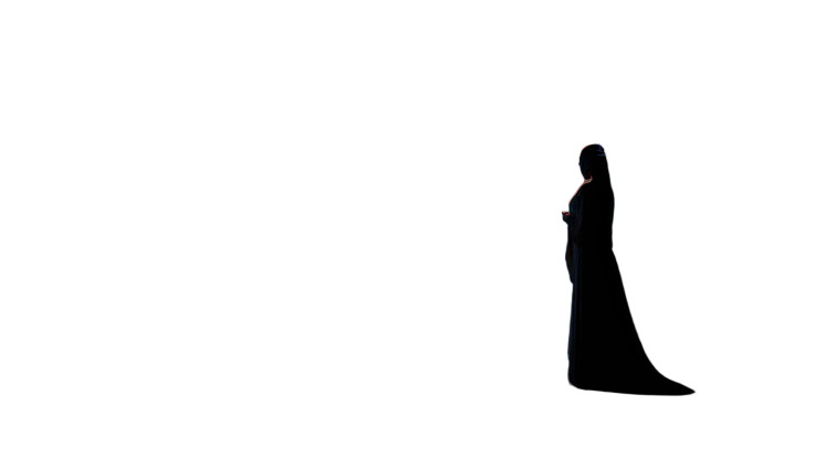 Sun Priestess Silhouette Vinyl Car Decal Sticker – Waterproof & UV-Resistant 8"