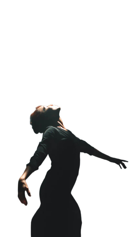 Emotional Dance Shadows Vinyl Car Decal Sticker – Waterproof & UV-Resistant 8"