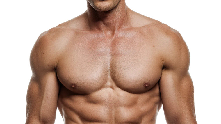 Muscular Torso V2 Vinyl Car Decal Sticker – Waterproof & UV-Resistant 8"