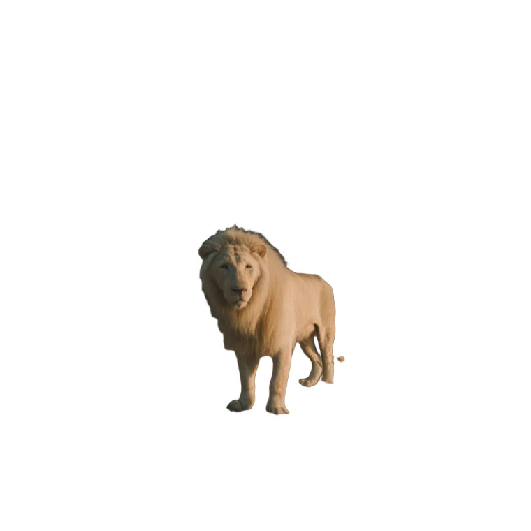 White Lion Vinyl Car Decal Sticker – Waterproof & UV-Resistant 8"