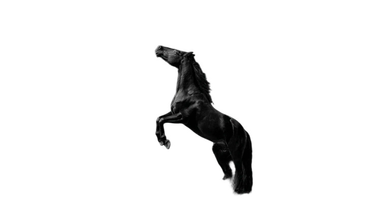 Imposing Black Horse Vinyl Car Decal Sticker – Waterproof & UV-Resistant 8"