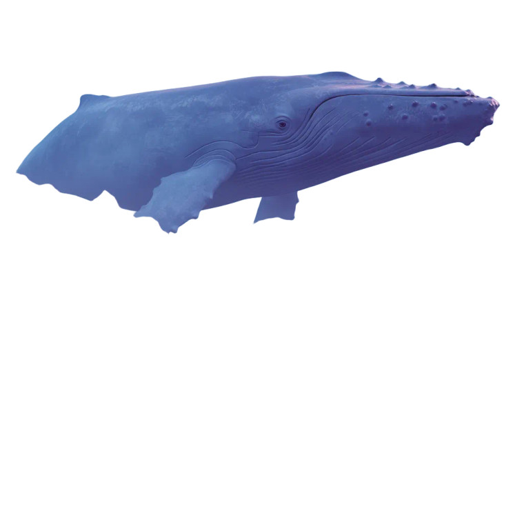 Surreal Cosmic Face Vinyl Car Decal Sticker – Waterproof & UV-Resistant 8"