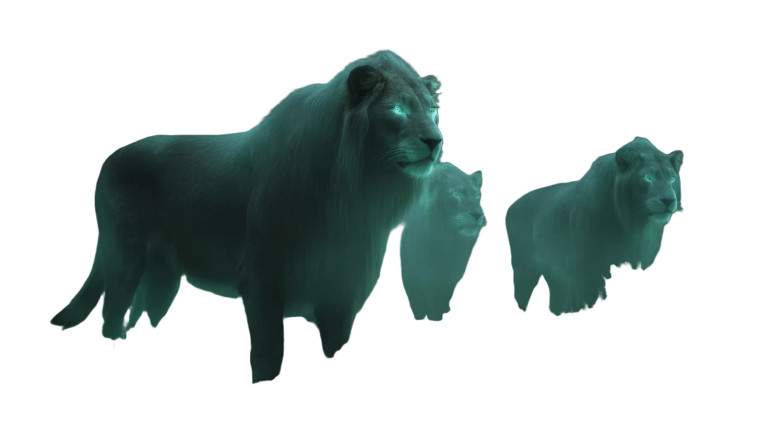 Ghostly Pride Lions Vinyl Car Decal Sticker – Waterproof & UV-Resistant 8"