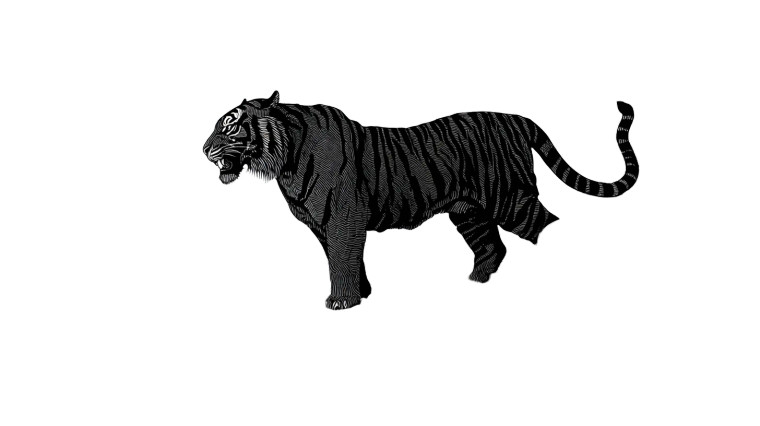 Mystical Tiger Cliff Vinyl Car Decal Sticker – Waterproof & UV-Resistant 8"