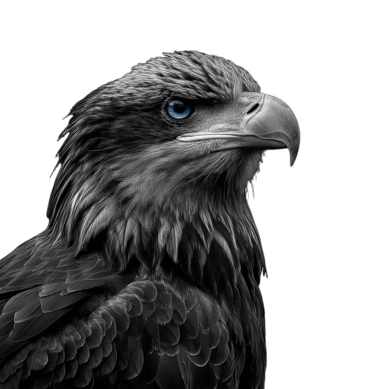 Blue-Eyed Eagle Vinyl Car Decal Sticker – Waterproof & UV-Resistant 8"