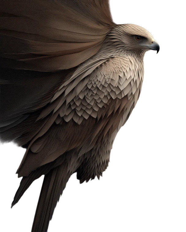 Stylized Eagle Portrait Vinyl Car Decal Sticker – Waterproof & UV-Resistant 8"