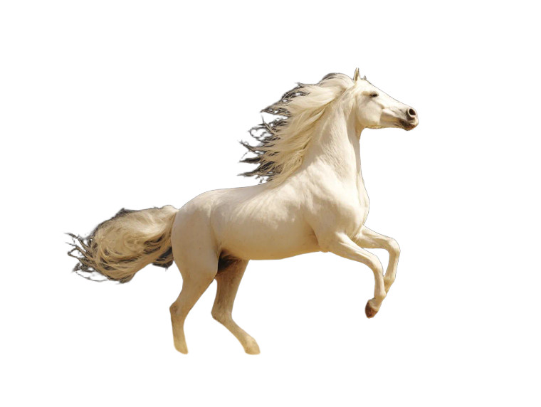 White Cosmic Horse Vinyl Car Decal Sticker – Waterproof & UV-Resistant 8"