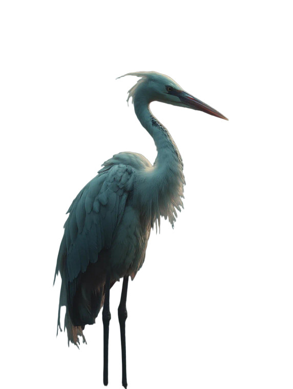Ethereal Moonlight Crane Vinyl Car Decal Sticker – Waterproof & UV-Resistant 8"