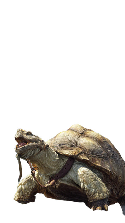 Golden Fantasy Tortoise Vinyl Car Decal Sticker – Waterproof & UV-Resistant 8"