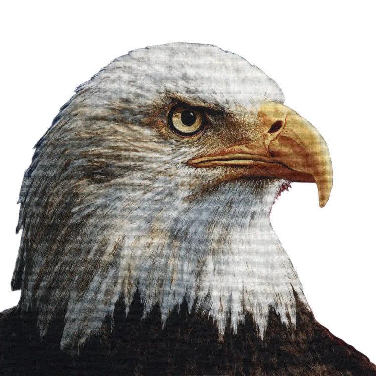 Eagle Flag Fabric Vinyl Car Decal Sticker – Waterproof & UV-Resistant 8"