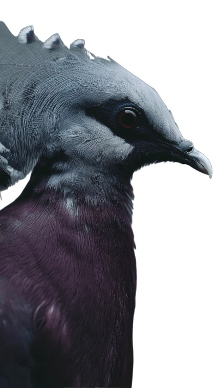 Exotic Purple Bird Vinyl Car Decal Sticker – Waterproof & UV-Resistant 8"