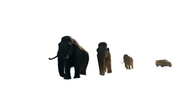 Woolly Mammoth Family Vinyl Car Decal Sticker – Waterproof & UV-Resistant 8"