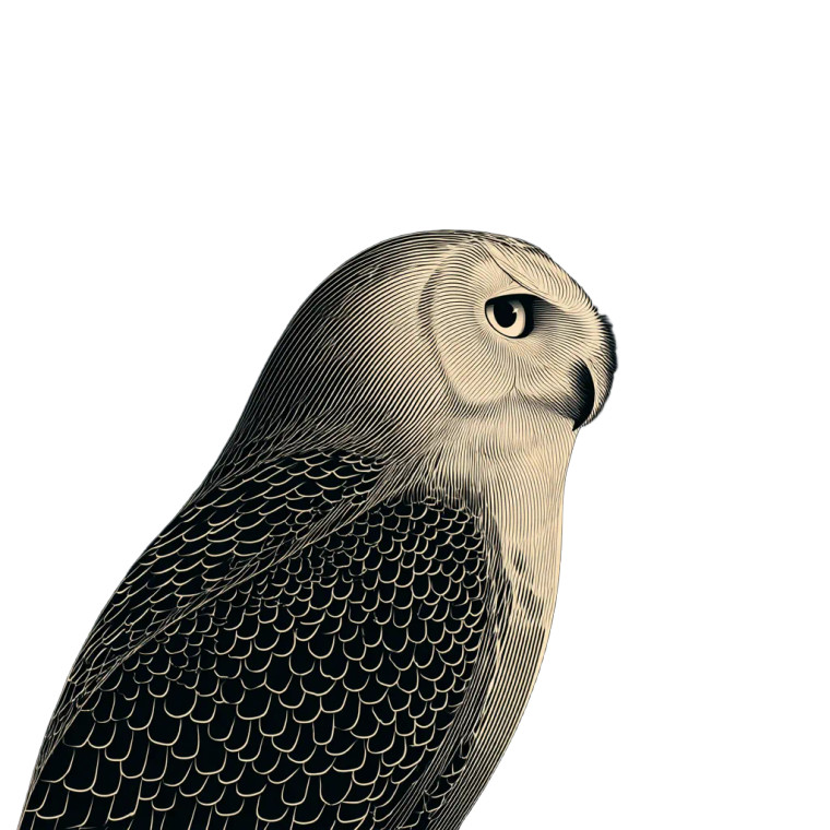 Snowy Owl Logo Vinyl Car Decal Sticker – Waterproof & UV-Resistant 8"