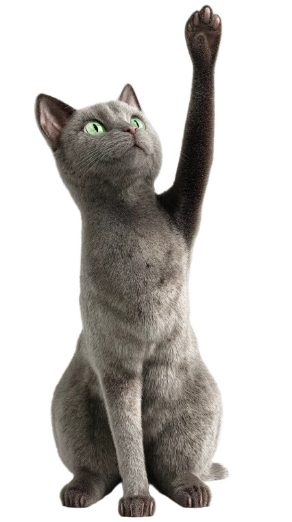 Gray Cat Pose Vinyl Car Decal Sticker – Waterproof & UV-Resistant 8"