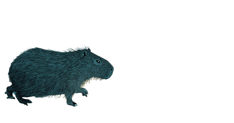 Bats Save Capybara Vinyl Car Decal Sticker – Waterproof & UV-Resistant 8" Bats Save Capybara Vinyl Car Decal Sticker – Waterproof & UV-Resistant 8"