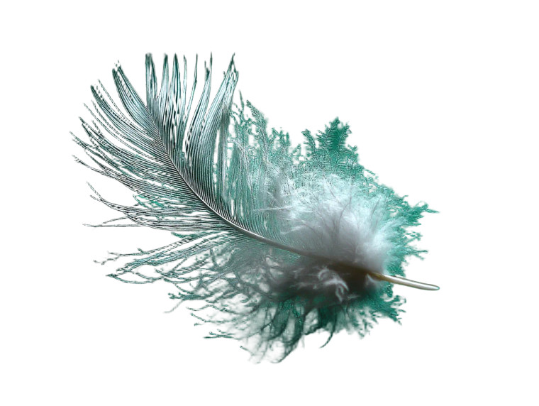 Floating White Feather Vinyl Car Decal Sticker – Waterproof & UV-Resistant 8"