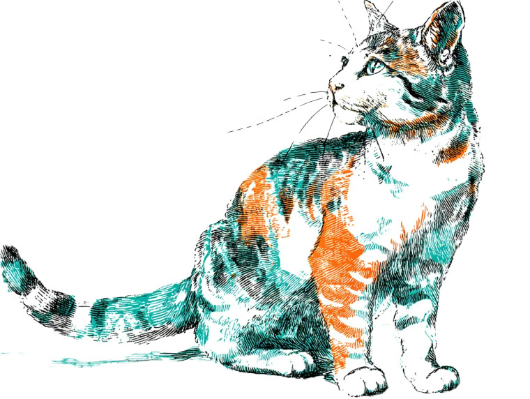 Noble Printmaking Cat Vinyl Car Decal Sticker – Waterproof & UV-Resistant 8"