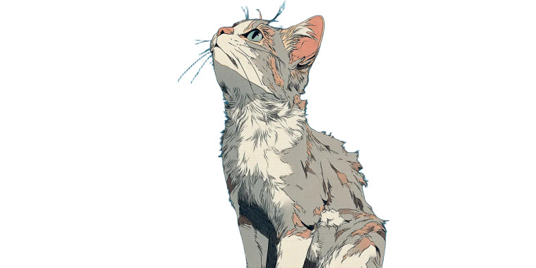 Vintage Cat Illustration Vinyl Car Decal Sticker – Waterproof & UV-Resistant 8"